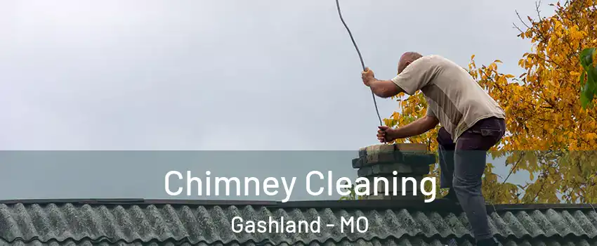 Chimney Cleaning Gashland - MO