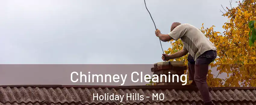 Chimney Cleaning Holiday Hills - MO