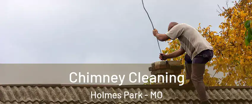Chimney Cleaning Holmes Park - MO