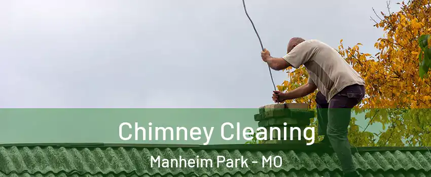 Chimney Cleaning Manheim Park - MO