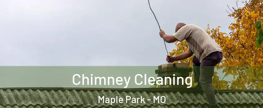 Chimney Cleaning Maple Park - MO