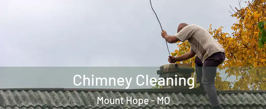 Chimney Cleaning Mount Hope - MO
