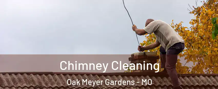 Chimney Cleaning Oak Meyer Gardens - MO