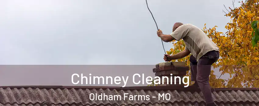 Chimney Cleaning Oldham Farms - MO