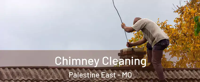 Chimney Cleaning Palestine East - MO
