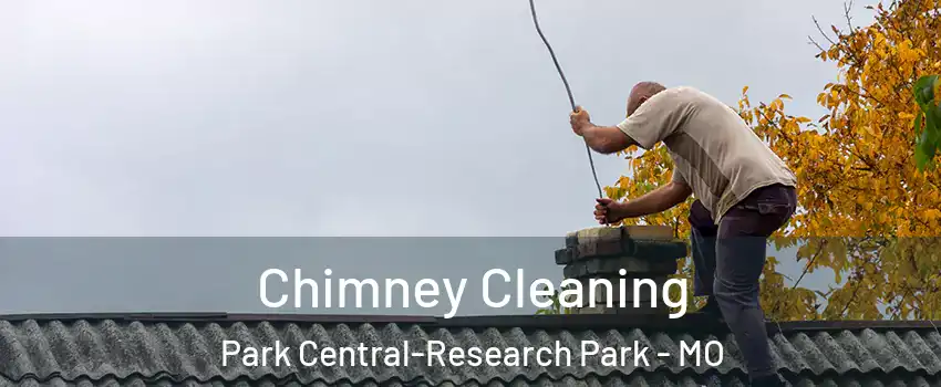 Chimney Cleaning Park Central-Research Park - MO