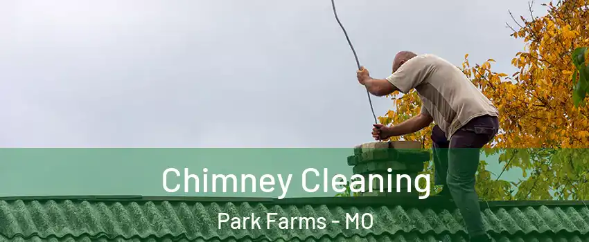 Chimney Cleaning Park Farms - MO