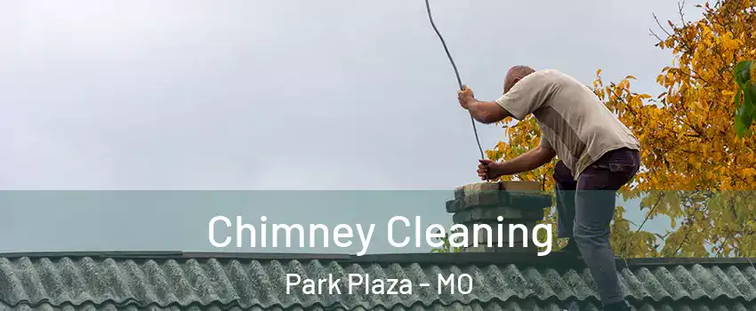 Chimney Cleaning Park Plaza - MO