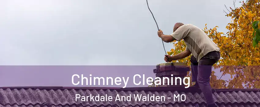 Chimney Cleaning Parkdale And Walden - MO