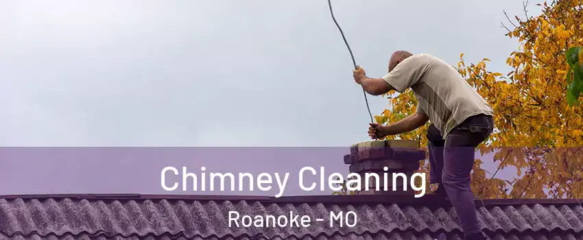 Chimney Cleaning Roanoke - MO