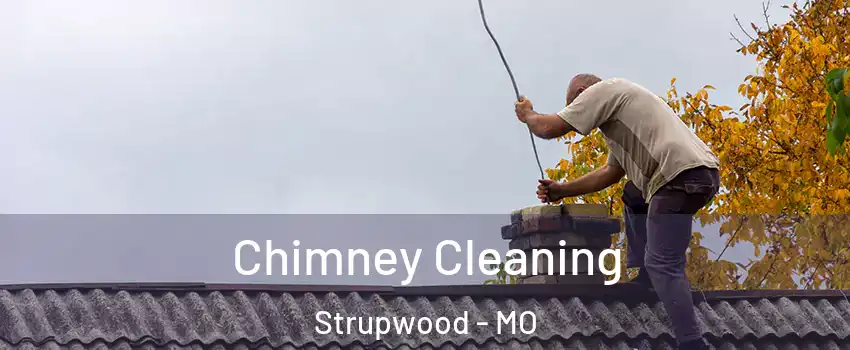 Chimney Cleaning Strupwood - MO