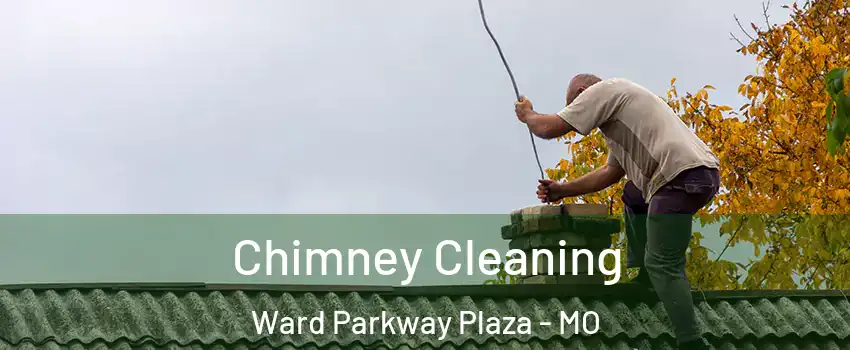 Chimney Cleaning Ward Parkway Plaza - MO