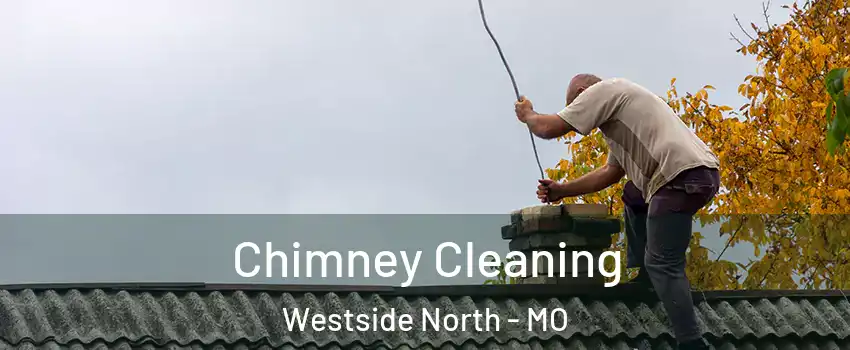 Chimney Cleaning Westside North - MO