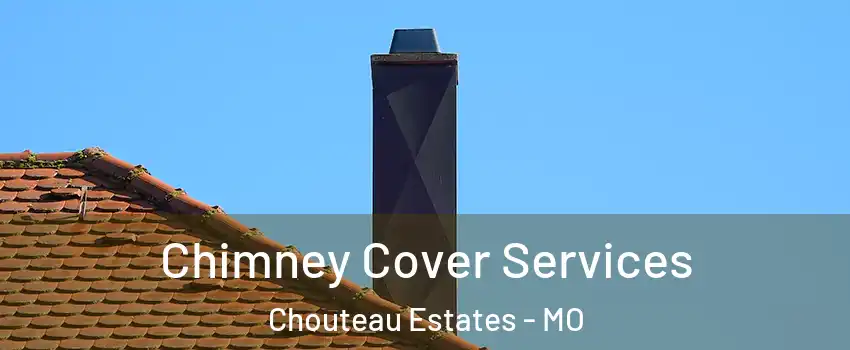 Chimney Cover Services Chouteau Estates - MO