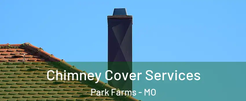 Chimney Cover Services Park Farms - MO