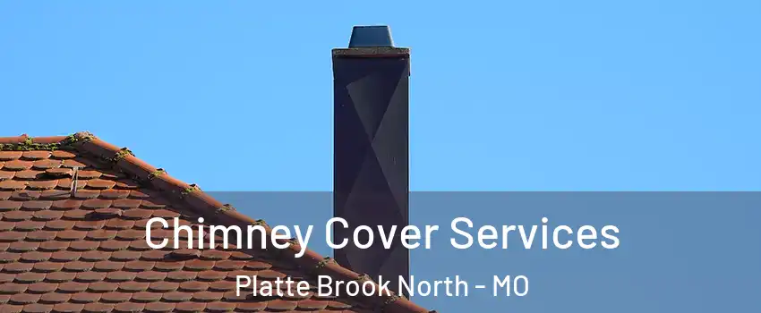 Chimney Cover Services Platte Brook North - MO