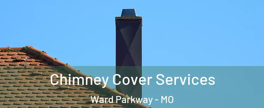 Chimney Cover Services Ward Parkway - MO