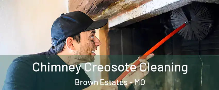 Chimney Creosote Cleaning Brown Estates - MO