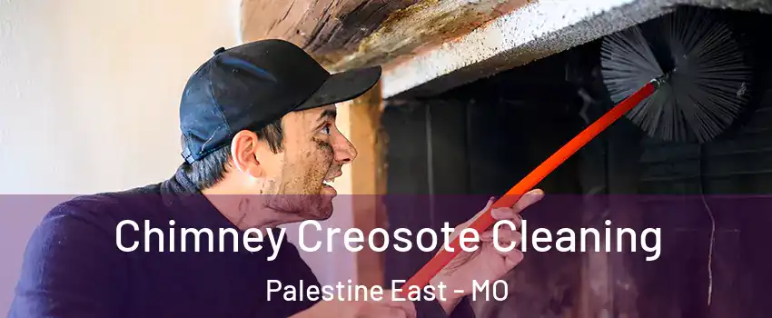 Chimney Creosote Cleaning Palestine East - MO