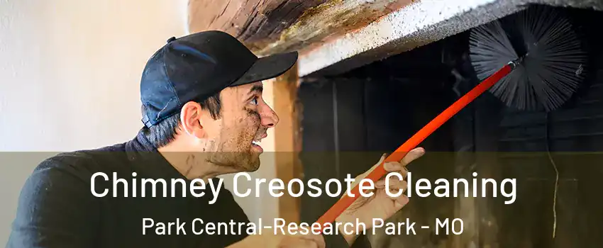 Chimney Creosote Cleaning Park Central-Research Park - MO