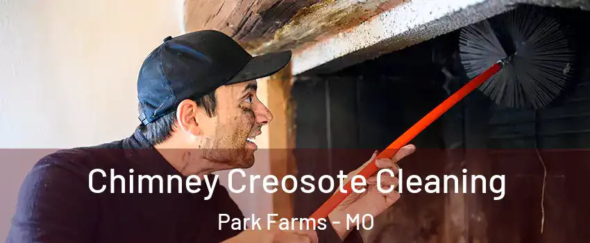 Chimney Creosote Cleaning Park Farms - MO