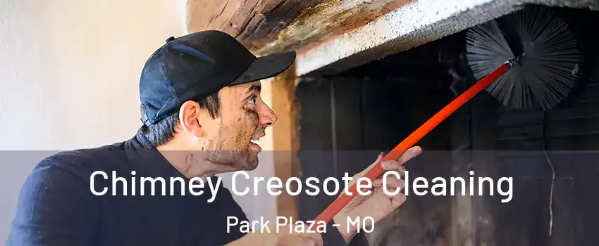 Chimney Creosote Cleaning Park Plaza - MO