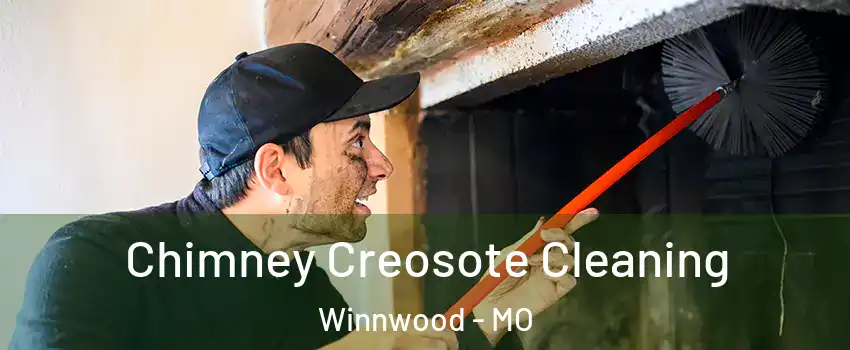 Chimney Creosote Cleaning Winnwood - MO