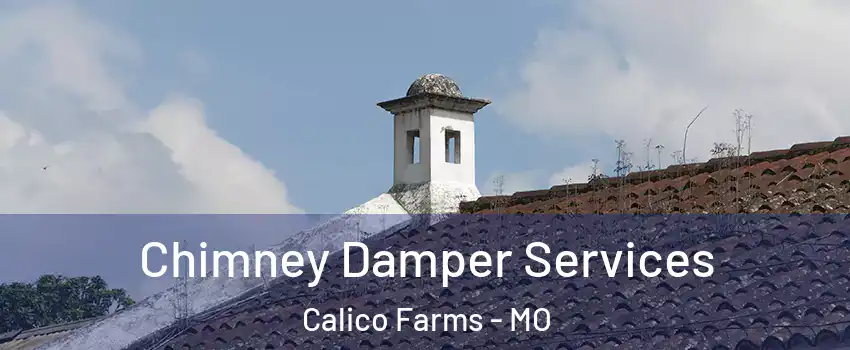 Chimney Damper Services Calico Farms - MO