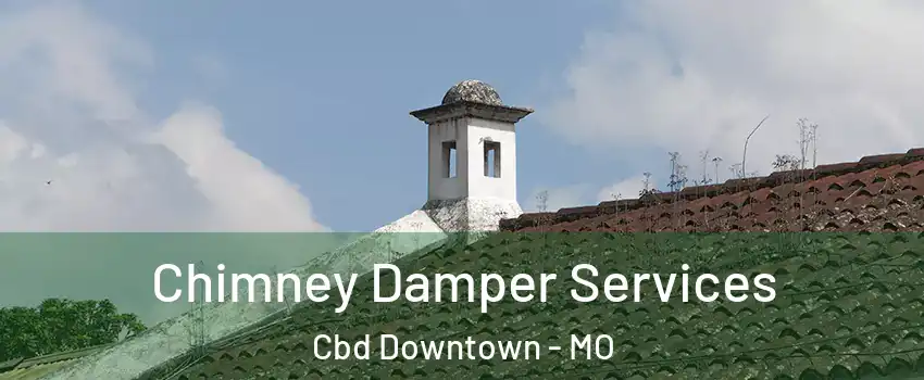 Chimney Damper Services Cbd Downtown - MO