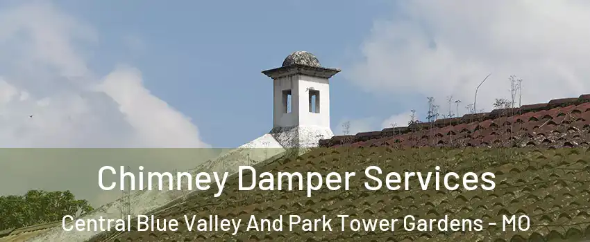 Chimney Damper Services Central Blue Valley And Park Tower Gardens - MO