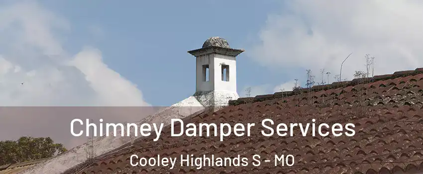Chimney Damper Services Cooley Highlands S - MO
