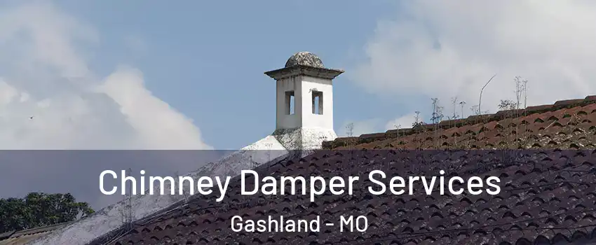 Chimney Damper Services Gashland - MO