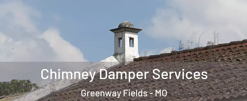 Chimney Damper Services Greenway Fields - MO