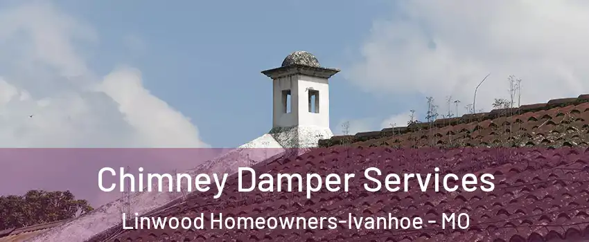 Chimney Damper Services Linwood Homeowners-Ivanhoe - MO