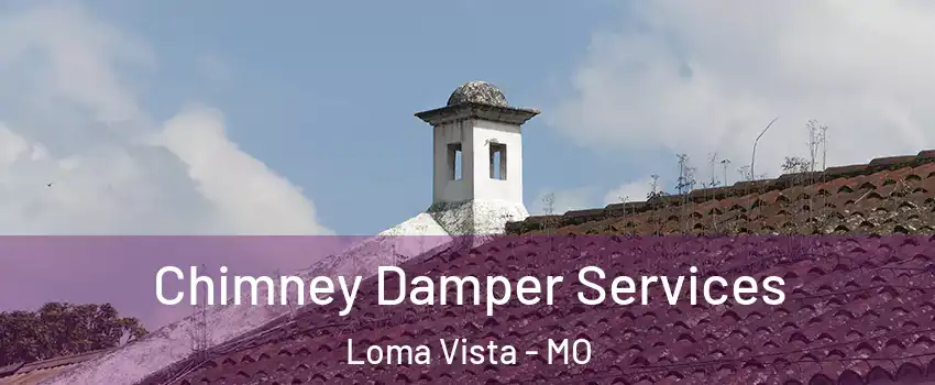 Chimney Damper Services Loma Vista - MO