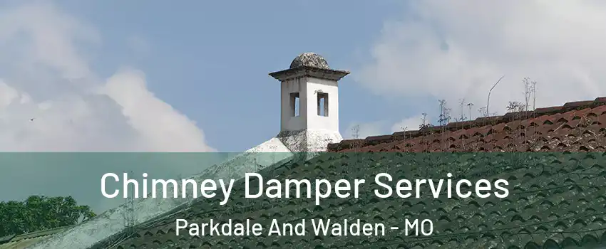 Chimney Damper Services Parkdale And Walden - MO