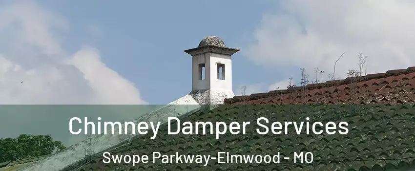 Chimney Damper Services Swope Parkway-Elmwood - MO