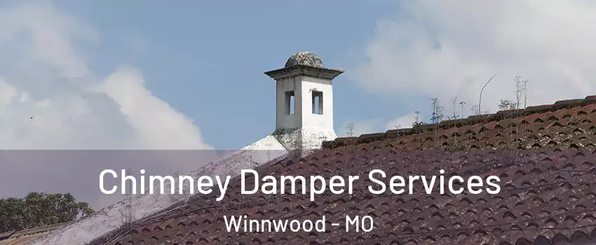 Chimney Damper Services Winnwood - MO