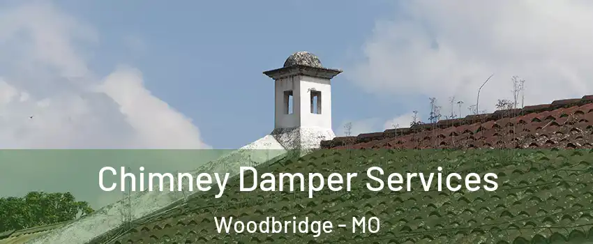 Chimney Damper Services Woodbridge - MO