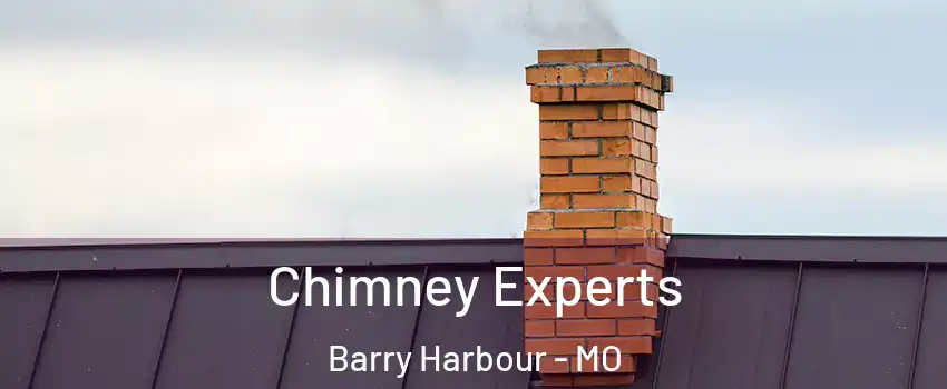 Chimney Experts Barry Harbour - MO