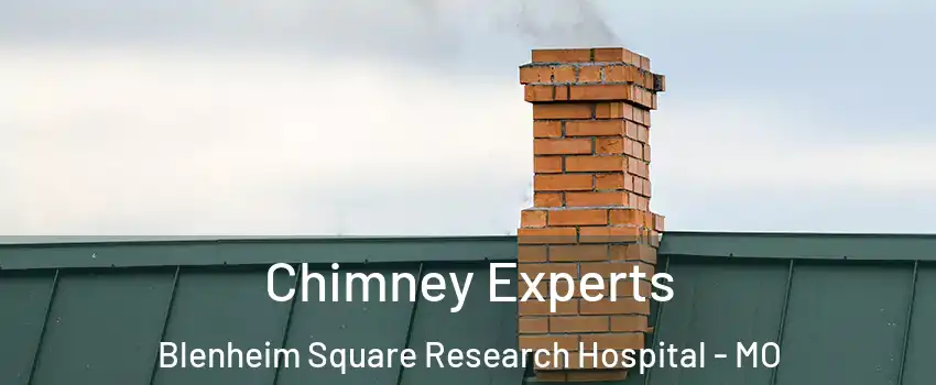 Chimney Experts Blenheim Square Research Hospital - MO