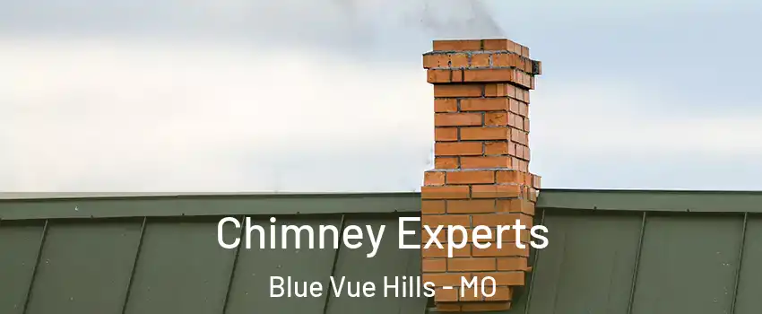 Chimney Experts Blue Vue Hills - MO