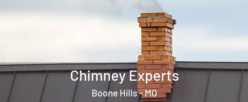 Chimney Experts Boone Hills - MO