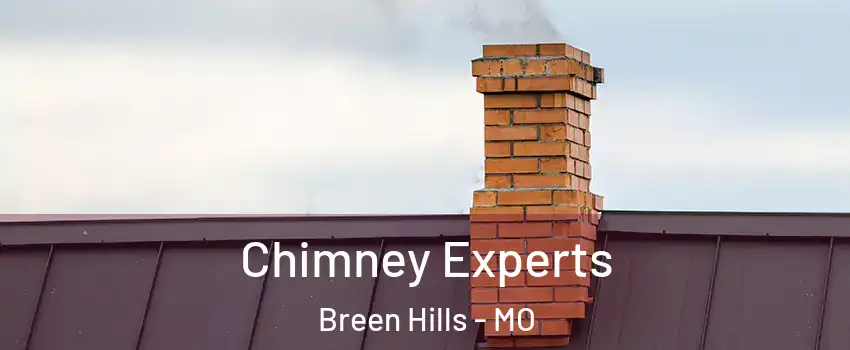Chimney Experts Breen Hills - MO