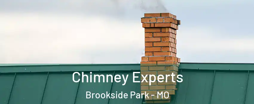 Chimney Experts Brookside Park - MO