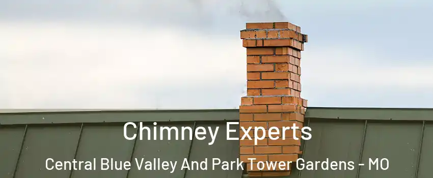 Chimney Experts Central Blue Valley And Park Tower Gardens - MO