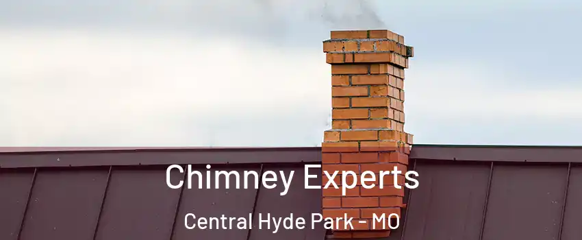 Chimney Experts Central Hyde Park - MO