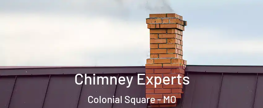 Chimney Experts Colonial Square - MO