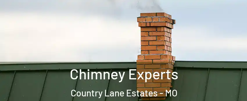 Chimney Experts Country Lane Estates - MO