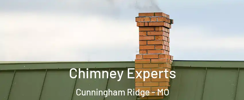 Chimney Experts Cunningham Ridge - MO